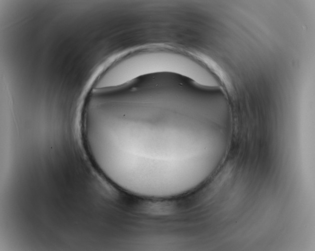 X0000086941327200705141754