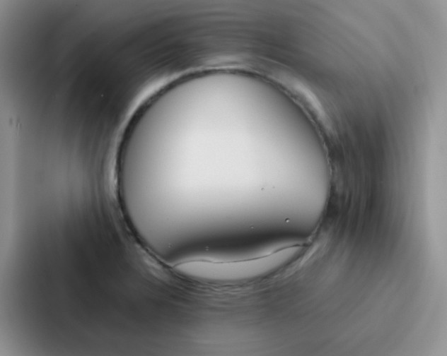 X0000086941328200705141754