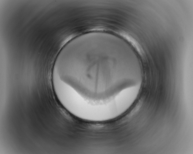 X0000086941329200705141754