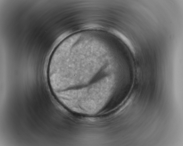 X0000086941330200705141754