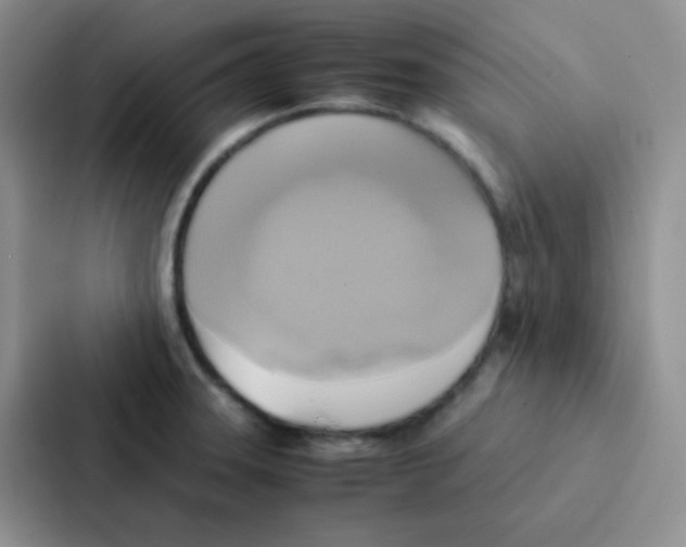 X0000086941331200705141754