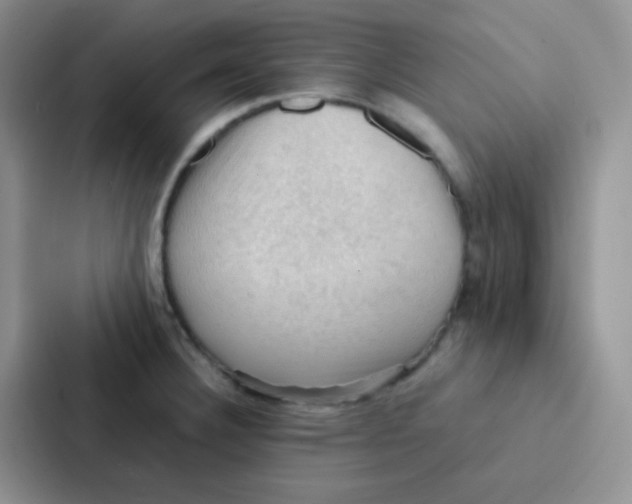 X0000086941332200705141754