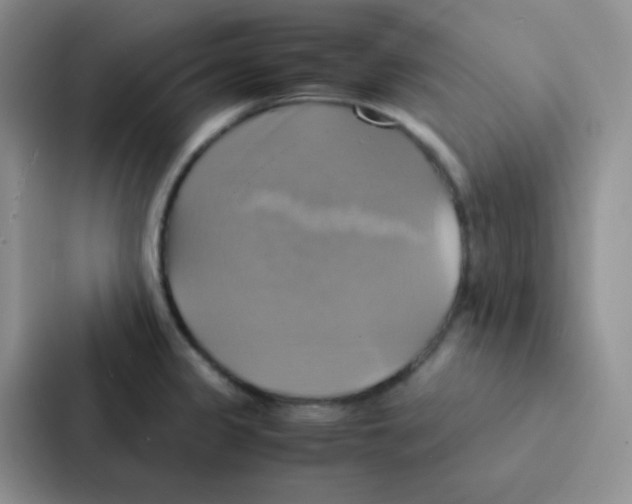 X0000086941333200705141754