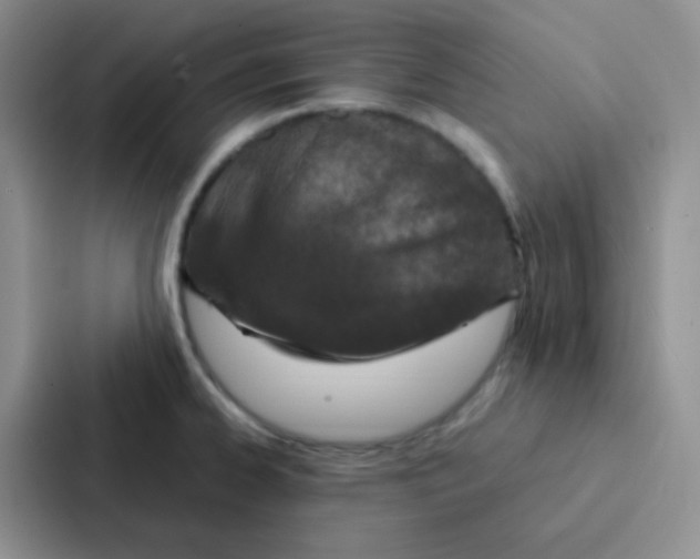 X0000086941334200705141754