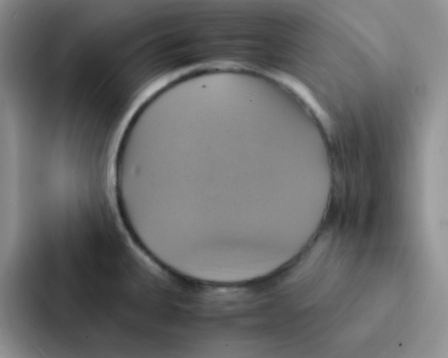 X0000086941335200705141754