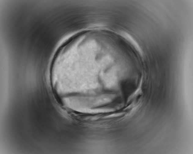 X0000086941336200705141754