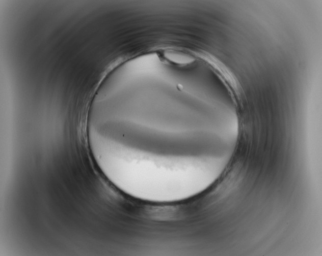 X0000086941337200705141754