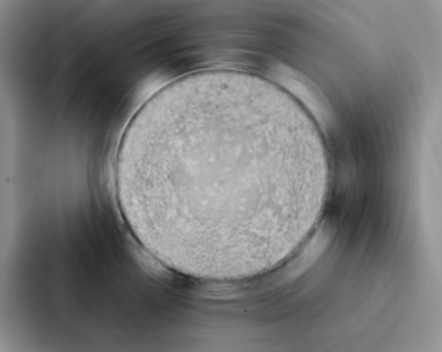 X0000086941338200705141754