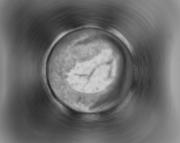 X0000086941339200705141754