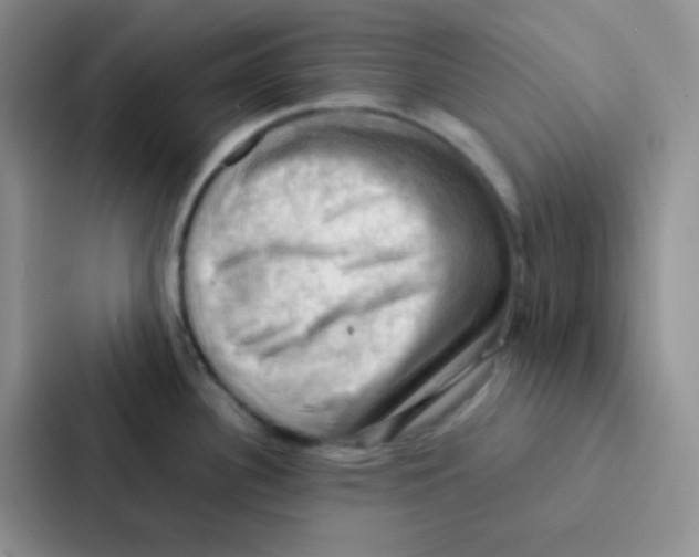 X0000086941340200705141754