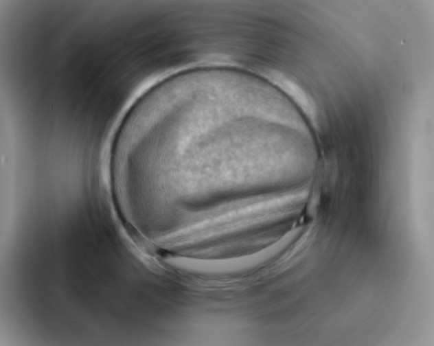 X0000086941342200705141754