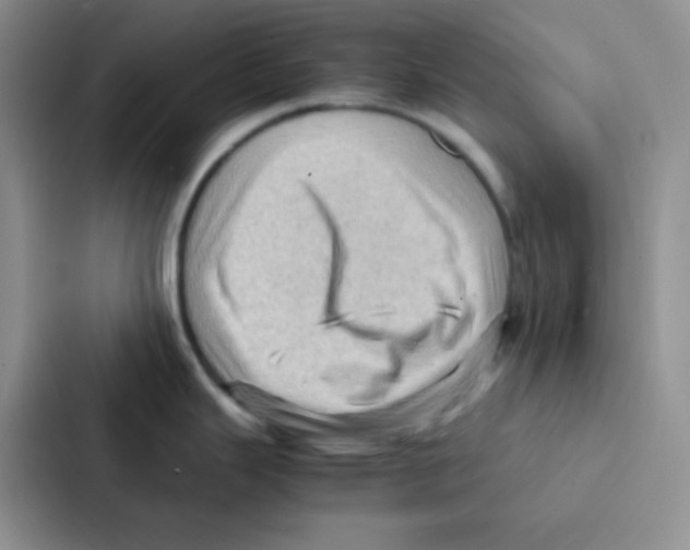 X0000086941343200705141754