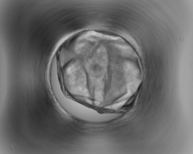 X0000086941344200705141755