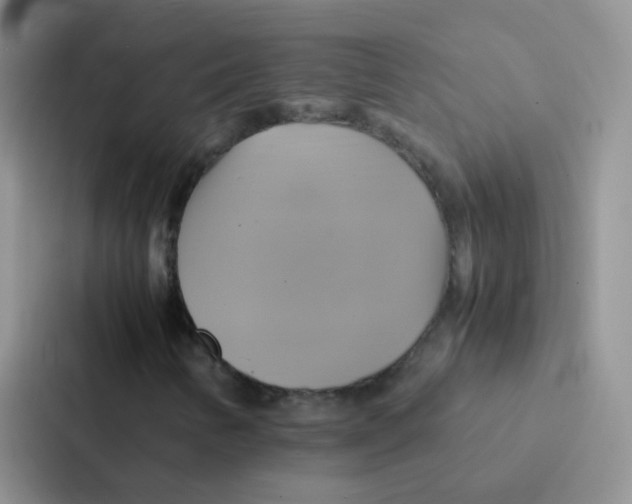 X0000086941346200705141754