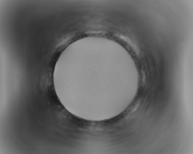 X0000086941350200705141754