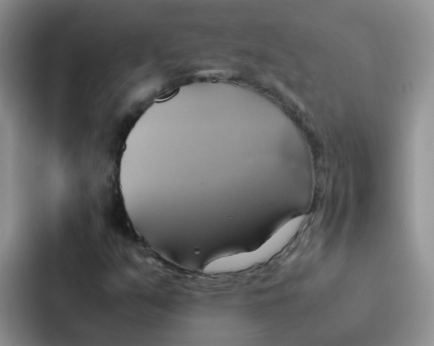 X0000086941351200705141754