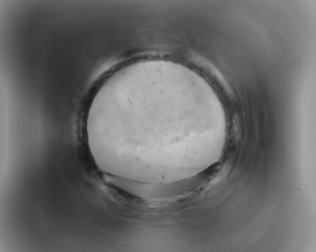 X0000086941352200705141754