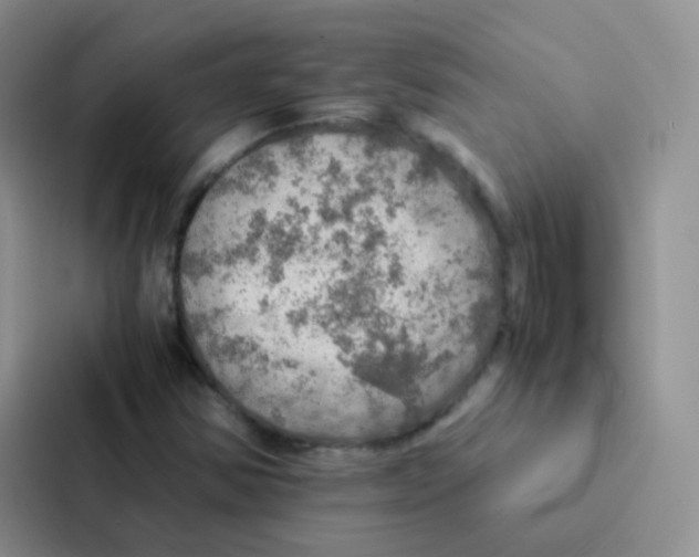 X0000086941354200705141754