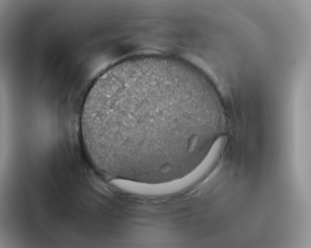 X0000086941355200705141754