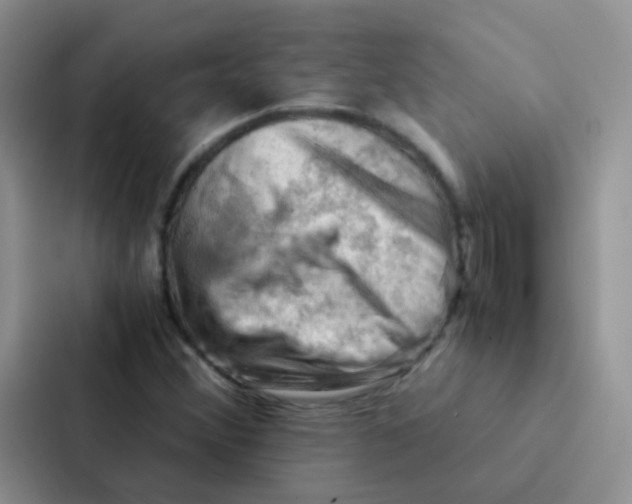 X0000086941356200705141754