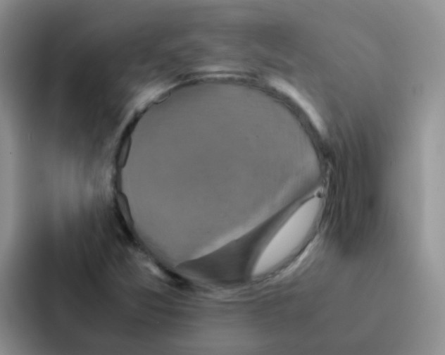 X0000086941357200705141754