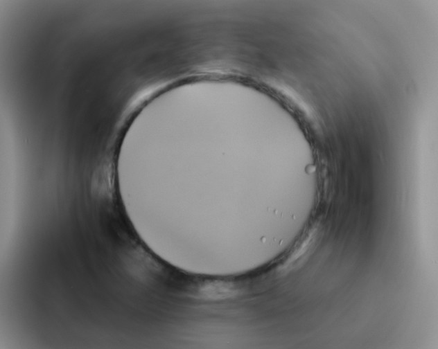 X0000086941358200705141754