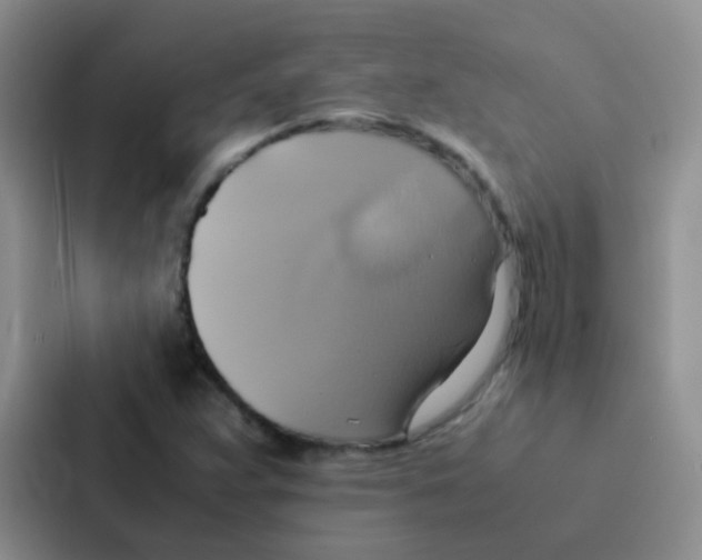 X0000086941359200705141754