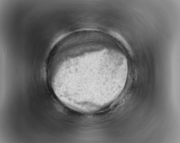 X0000086941360200705141754