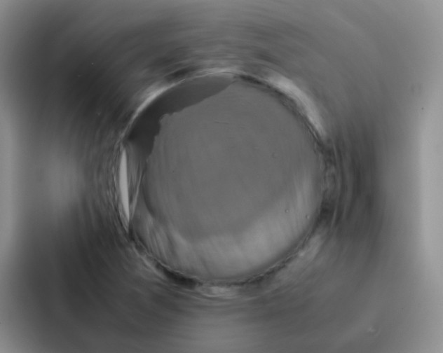 X0000086941361200705141754