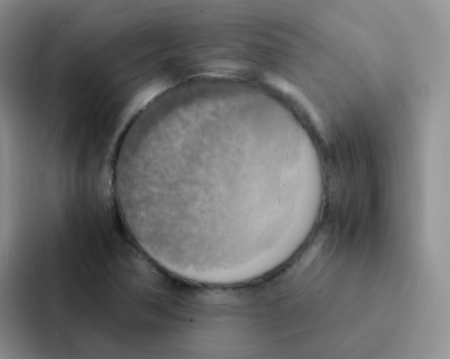 X0000086941362200705141754