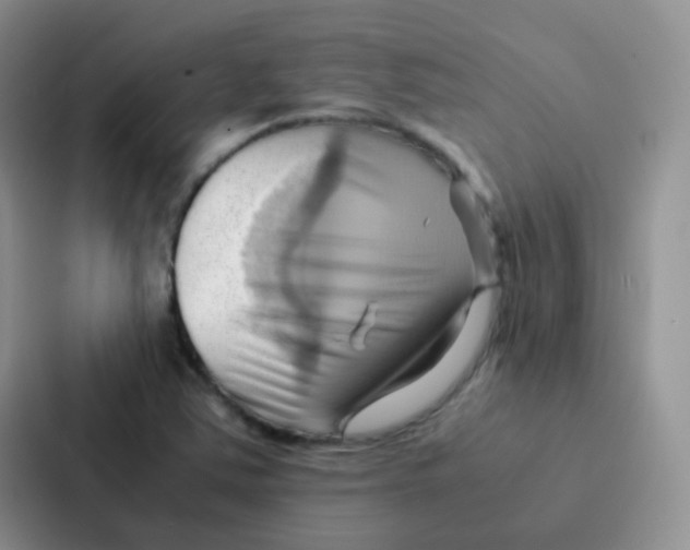 X0000086941363200705141754