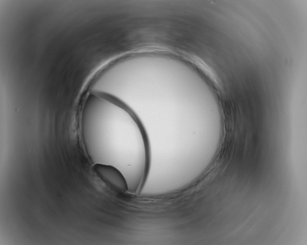 X0000086941364200705141754