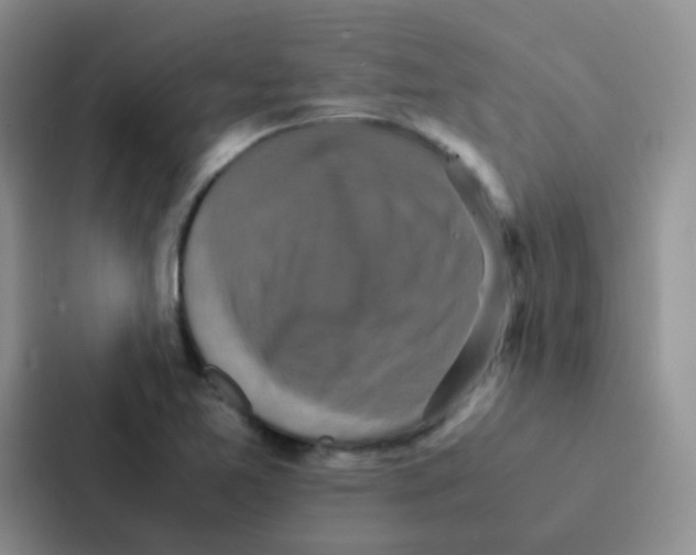 X0000086941365200705141754