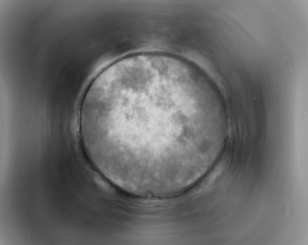 X0000086941366200705141754