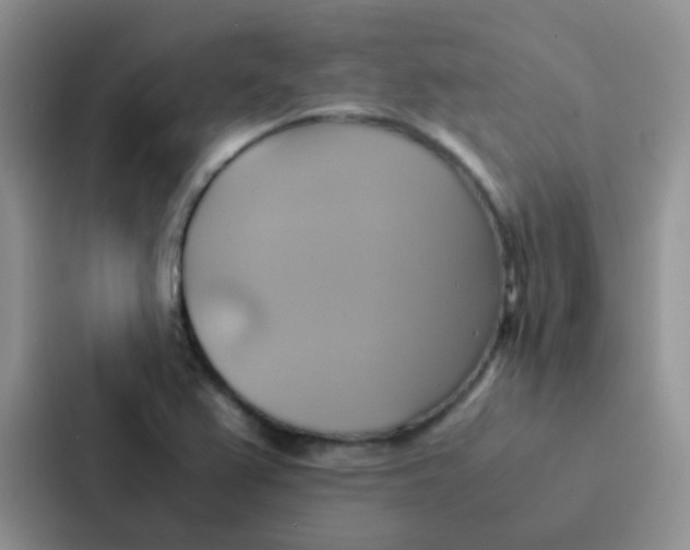 X0000086941367200705141754