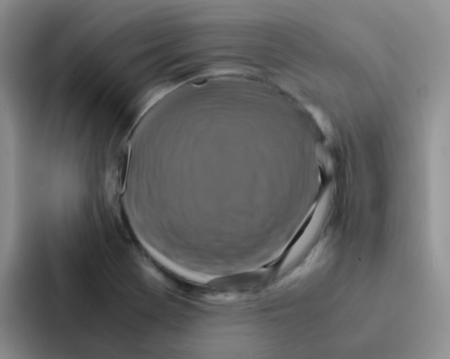 X0000086941369200705141754