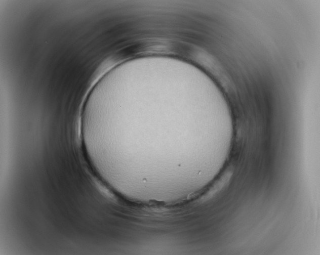 X0000086941370200705141754