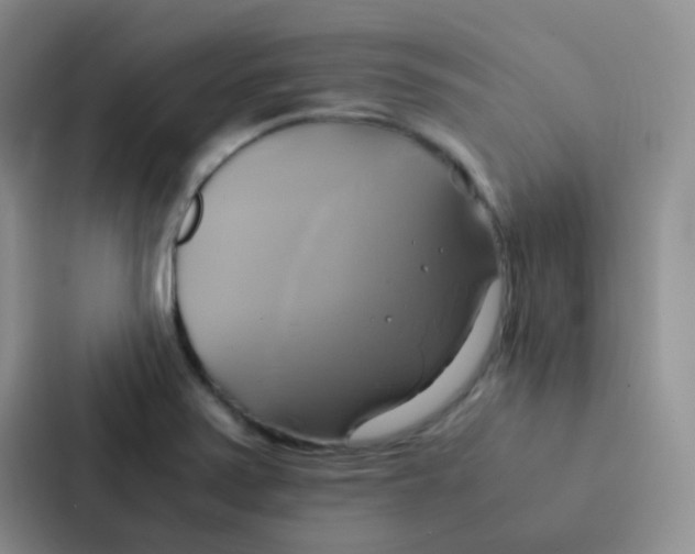 X0000086941371200705141754