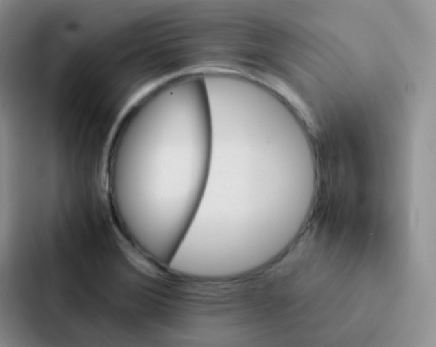 X0000086941372200705141754