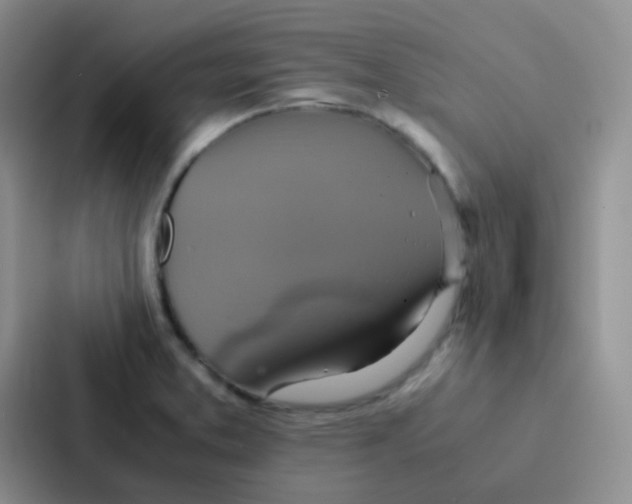 X0000086941373200705141754