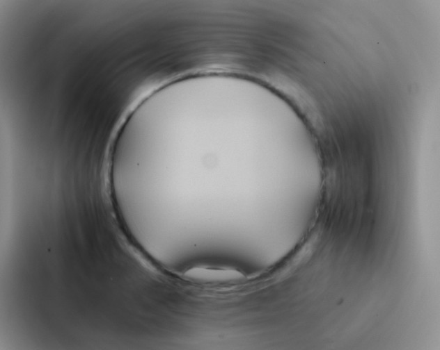 X0000086941374200705141754