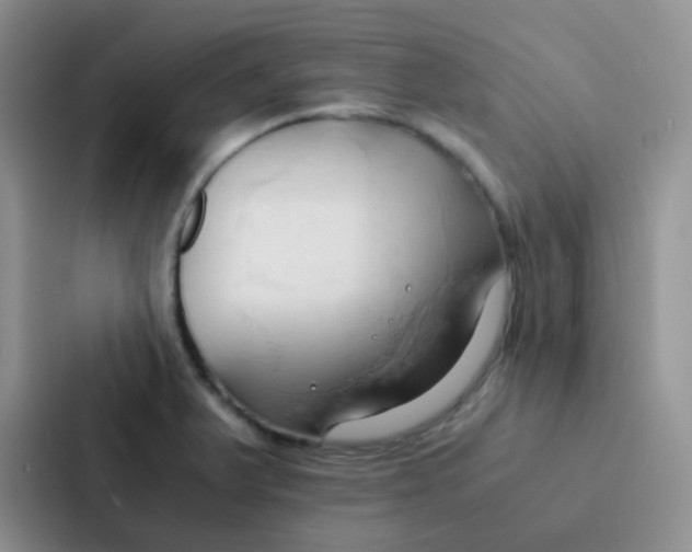 X0000086941375200705141753