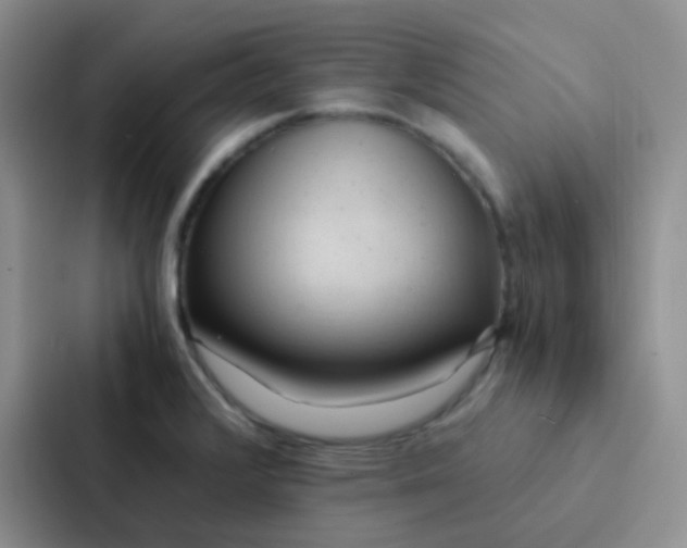 X0000086941376200705141753