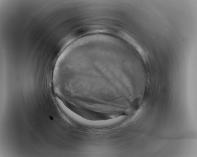 X0000086941377200705141753