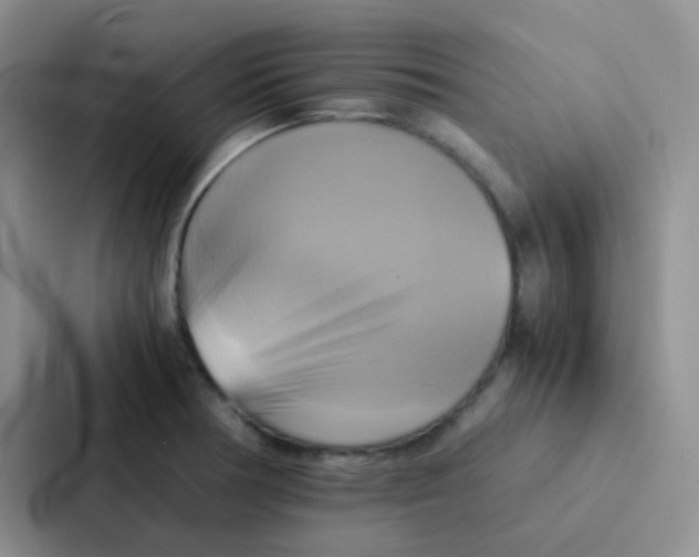 X0000086941378200705141753