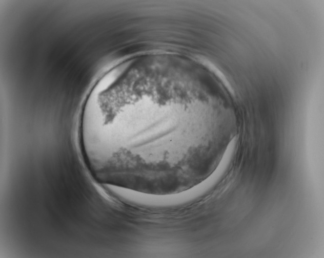 X0000086941379200705141753