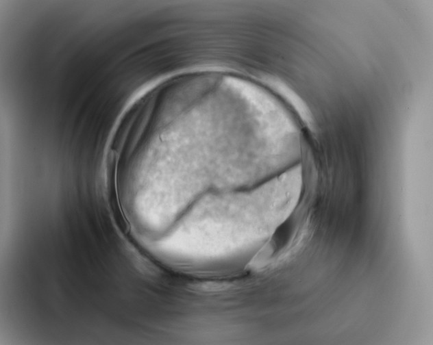 X0000086941380200705141753