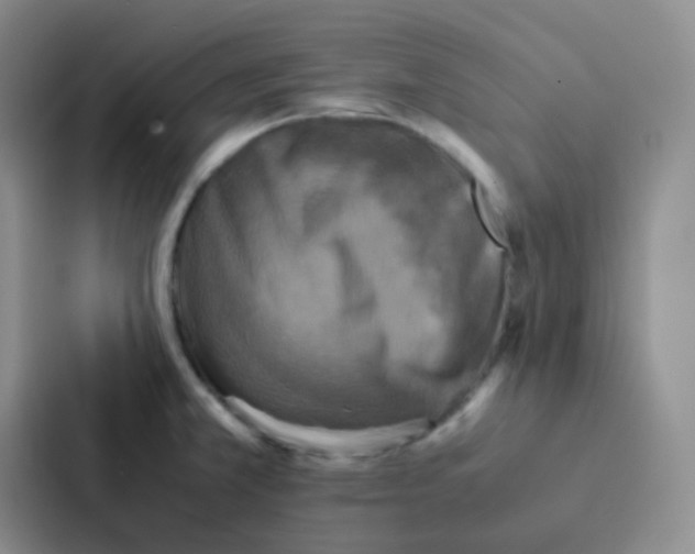 X0000086941381200705141753