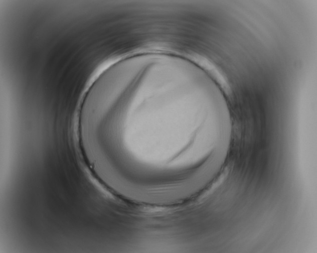 X0000086941382200705141753