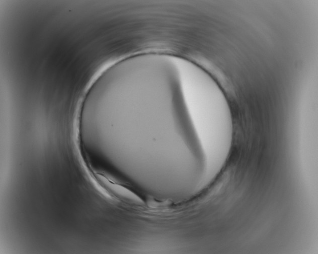 X0000086941383200705141753